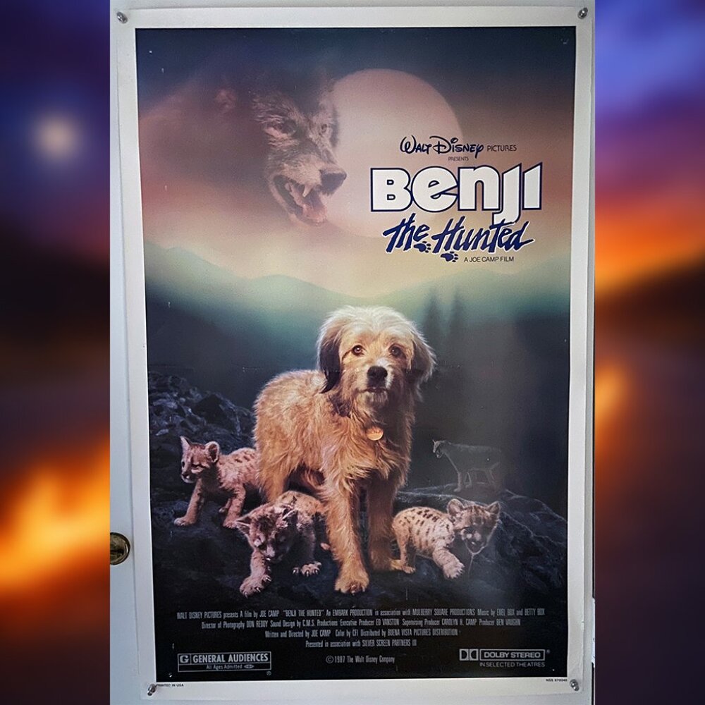 BENJI THE HUNTED (1987) - ORIGINAL SINGLE SIDED MOVIE POSTER